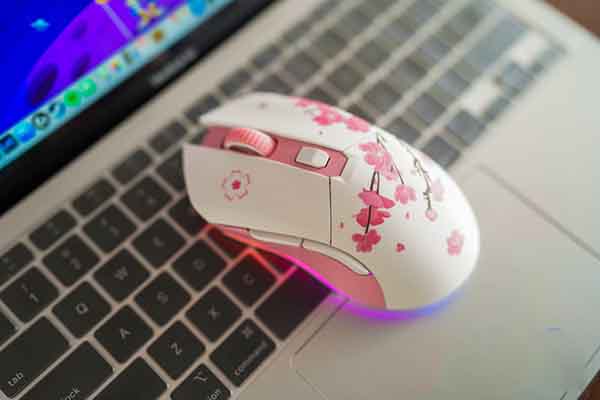 Chuột DareU EM901X